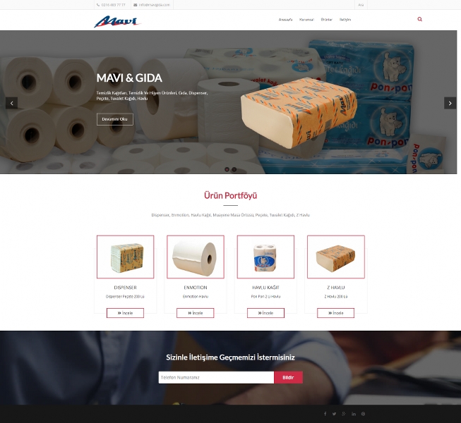 Mavi Gıda Web Sitesinin Anasayfa Tasarımı
